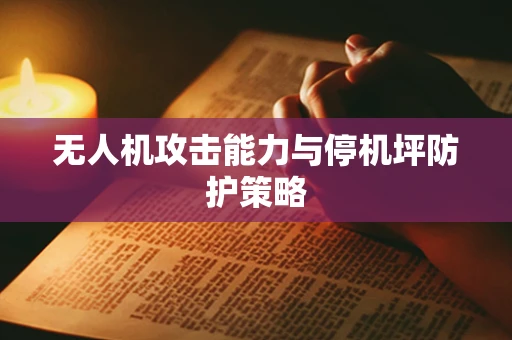 无人机攻击能力与停机坪防护策略