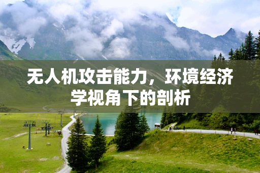 无人机攻击能力，环境经济学视角下的剖析