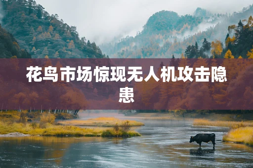 花鸟市场惊现无人机攻击隐患