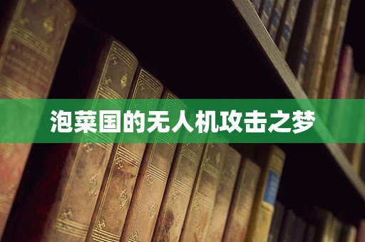 泡菜国的无人机攻击之梦