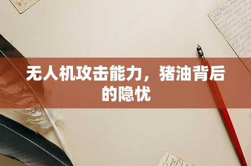 无人机攻击能力，猪油背后的隐忧