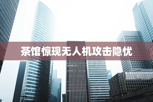 茶馆惊现无人机攻击隐忧