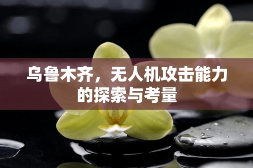 乌鲁木齐，无人机攻击能力的探索与考量