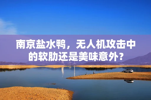 南京盐水鸭，无人机攻击中的软肋还是美味意外？