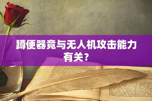 蹲便器竟与无人机攻击能力有关？