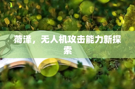 菏泽，无人机攻击能力新探索