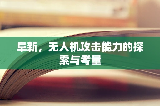 阜新，无人机攻击能力的探索与考量
