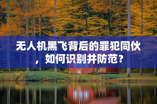 无人机黑飞背后的罪犯同伙，如何识别并防范？