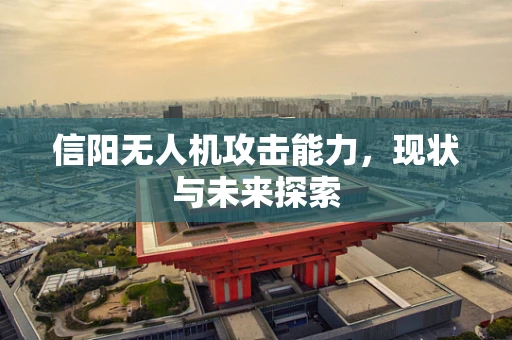 信阳无人机攻击能力，现状与未来探索