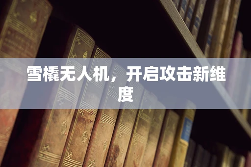 雪橇无人机，开启攻击新维度
