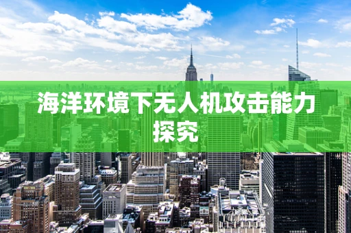 海洋环境下无人机攻击能力探究