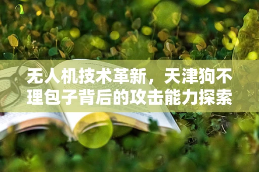 无人机技术革新，天津狗不理包子背后的攻击能力探索