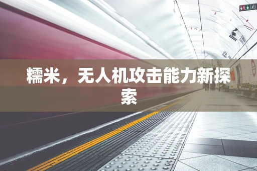 糯米，无人机攻击能力新探索