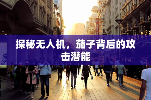 探秘无人机，茄子背后的攻击潜能