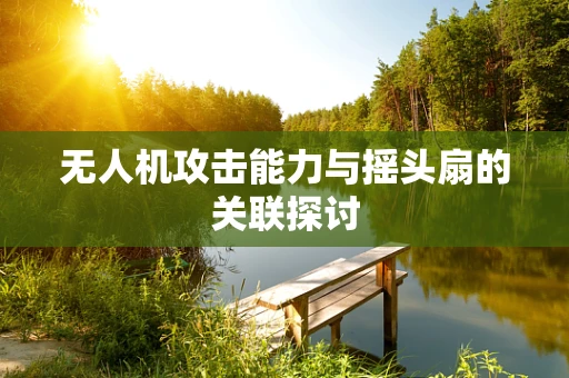 无人机攻击能力与摇头扇的关联探讨