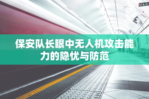保安队长眼中无人机攻击能力的隐忧与防范