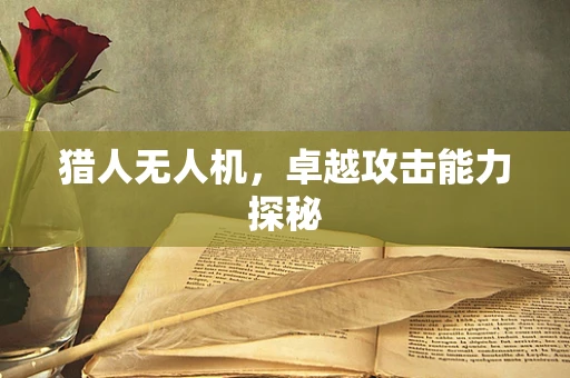 猎人无人机，卓越攻击能力探秘