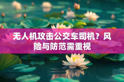 无人机攻击公交车司机？风险与防范需重视