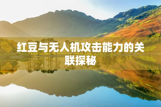 红豆与无人机攻击能力的关联探秘