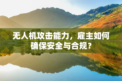 无人机攻击能力，雇主如何确保安全与合规？