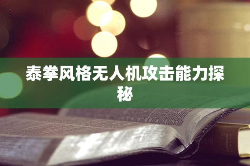 泰拳风格无人机攻击能力探秘