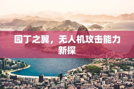 园丁之翼，无人机攻击能力新探