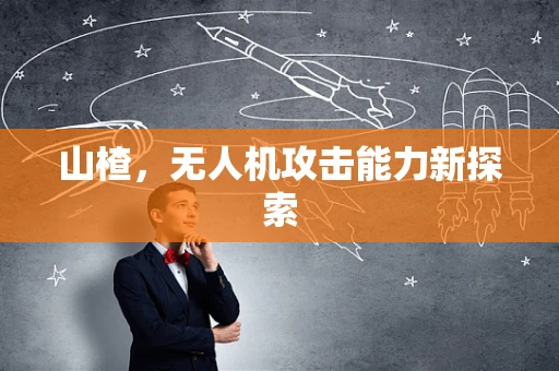 山楂，无人机攻击能力新探索