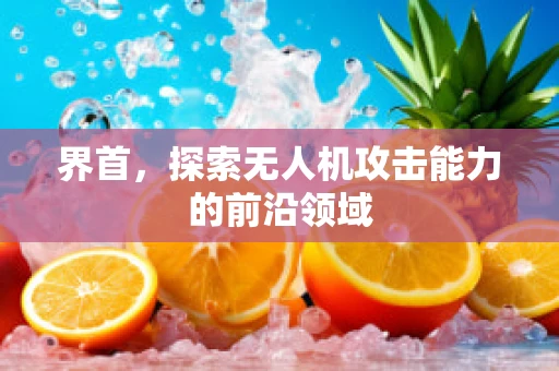 界首，探索无人机攻击能力的前沿领域