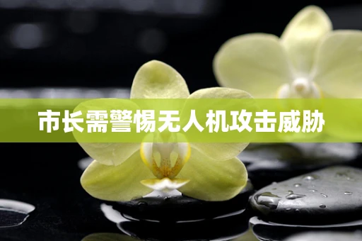 市长需警惕无人机攻击威胁