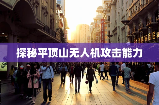 探秘平顶山无人机攻击能力