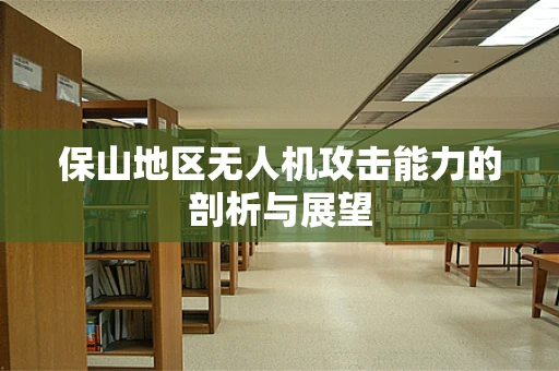 保山地区无人机攻击能力的剖析与展望
