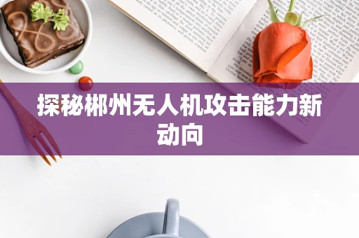 探秘郴州无人机攻击能力新动向
