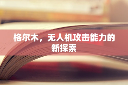 格尔木，无人机攻击能力的新探索