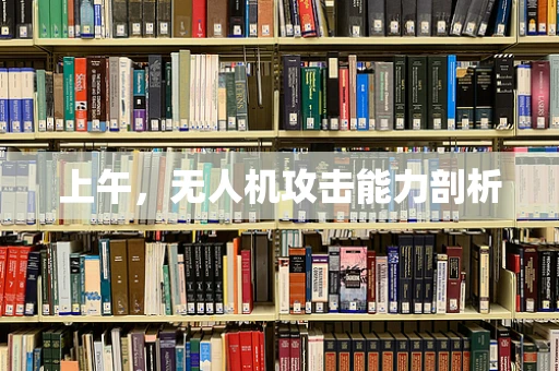 上午，无人机攻击能力剖析