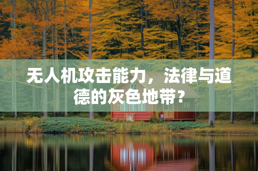 无人机攻击能力，法律与道德的灰色地带？