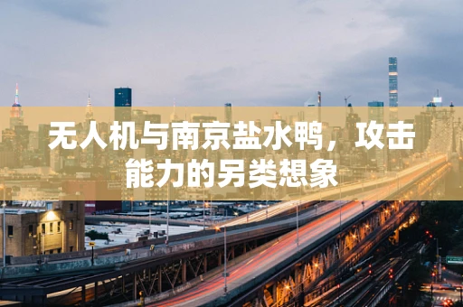 无人机与南京盐水鸭，攻击能力的另类想象