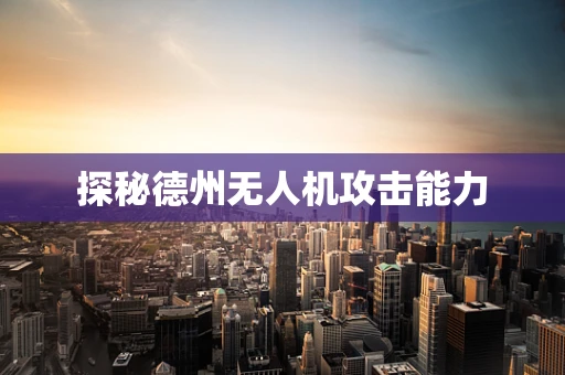 探秘德州无人机攻击能力