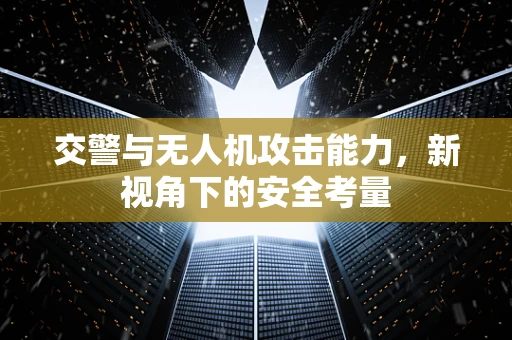 交警与无人机攻击能力，新视角下的安全考量
