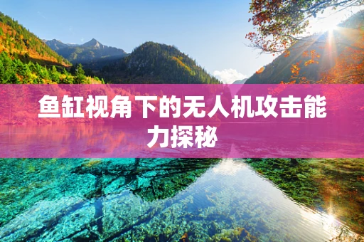 鱼缸视角下的无人机攻击能力探秘
