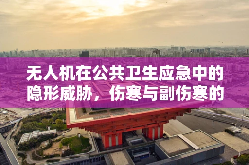 无人机在公共卫生应急中的隐形威胁，伤寒与副伤寒的空中传播风险？