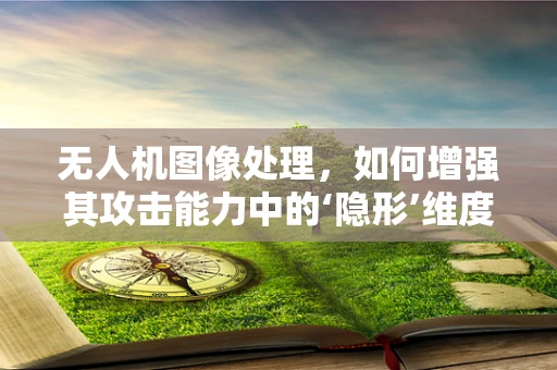 无人机图像处理，如何增强其攻击能力中的‘隐形’维度？