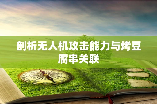 剖析无人机攻击能力与烤豆腐串关联