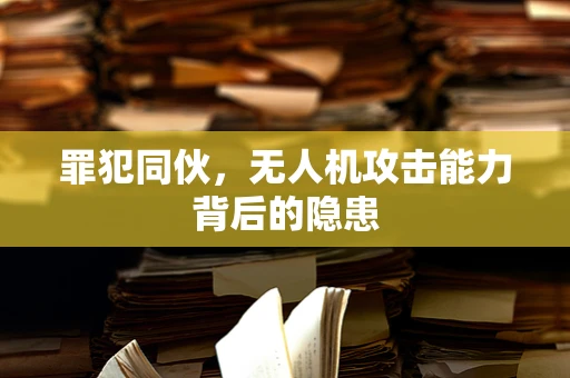 罪犯同伙，无人机攻击能力背后的隐患
