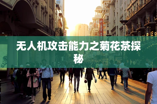 无人机攻击能力之菊花茶探秘