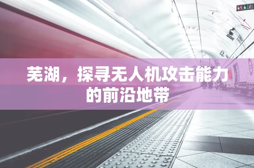 芜湖，探寻无人机攻击能力的前沿地带