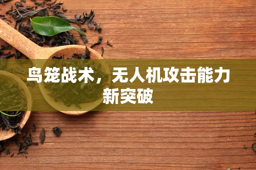 鸟笼战术，无人机攻击能力新突破