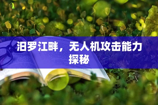 汨罗江畔，无人机攻击能力探秘