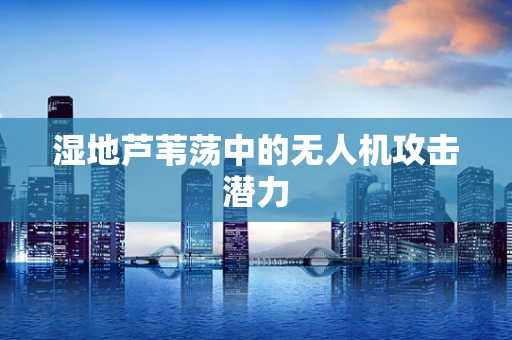 湿地芦苇荡中的无人机攻击潜力