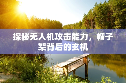 探秘无人机攻击能力，帽子架背后的玄机