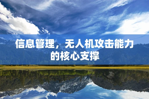 信息管理，无人机攻击能力的核心支撑